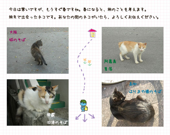 日本のネコたち