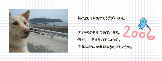 2006年
