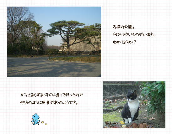 動物も忙しい