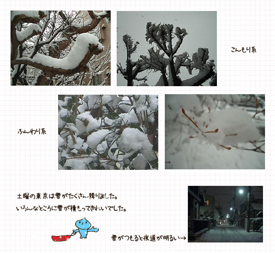 雪の日