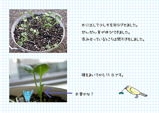 緑色のあいつ